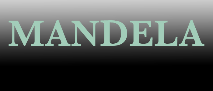 Mandela The Auction